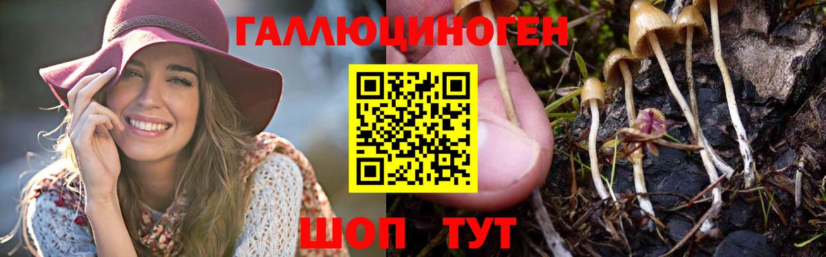 Псилоцибиновые грибы мицелий Кострома